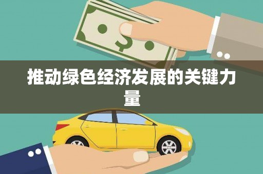 盐边推动绿色经济发展的关键力量
