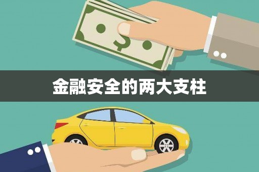 盐边金融安全的两大支柱