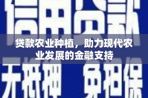 盐边贷款农业种植，助力现代农业发展的金融支持