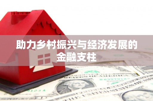 盐边助力乡村振兴与经济发展的金融支柱