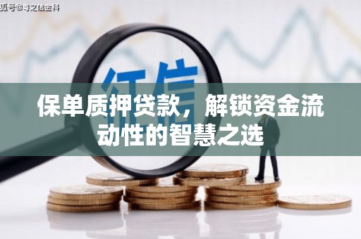 盐边保单质押贷款，解锁资金流动性的智慧之选