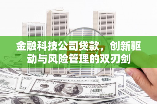 盐边金融科技公司贷款，创新驱动与风险管理的双刃剑
