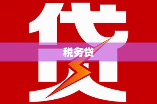 盐边税务贷